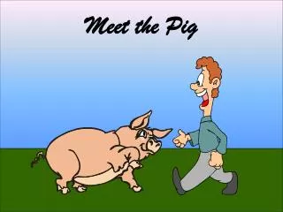 Meet the Pig