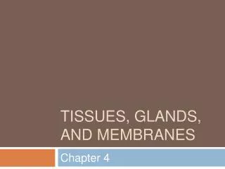 Tissues, glands, and membranes