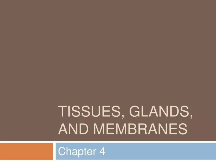 tissues glands and membranes