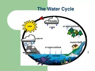 the water cycle