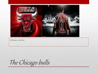 The Chicago bulls