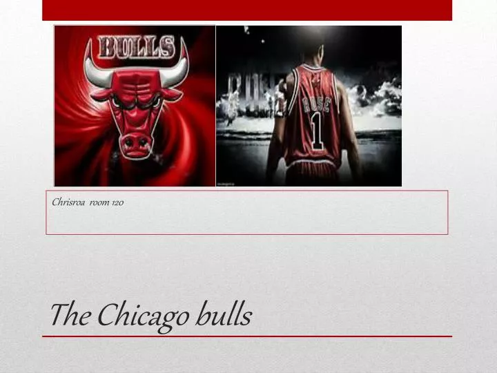 the chicago bulls