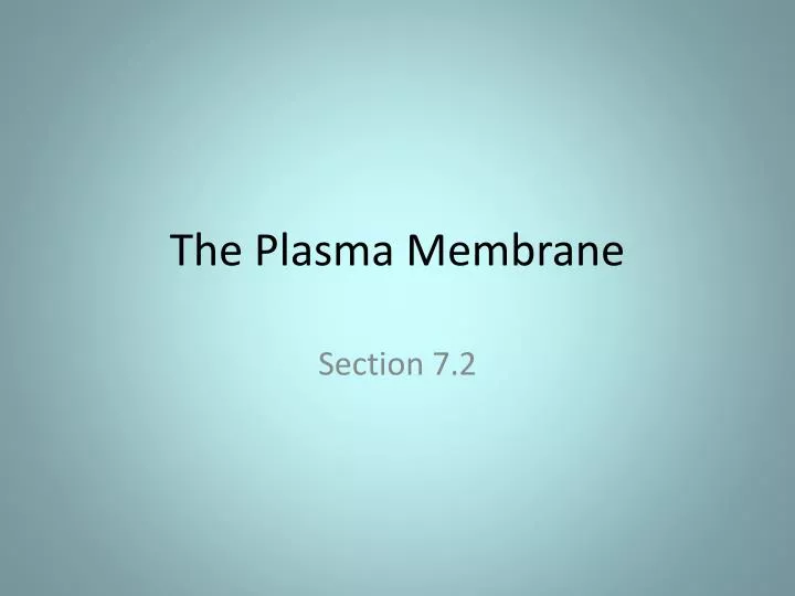 the plasma membrane