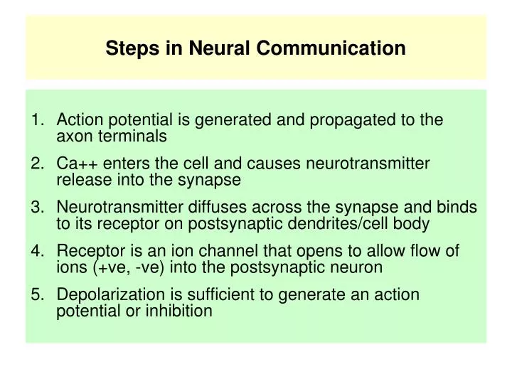 steps in neural communication