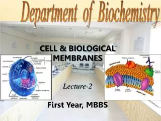 CELL &amp; BIOLOGICAL MEMBRANES Lecture-2 First Year, MBBS