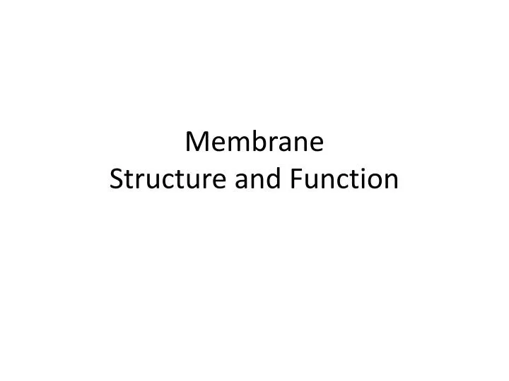 membrane structure and function