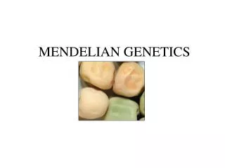 MENDELIAN GENETICS