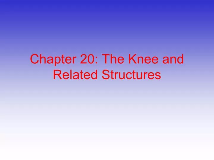 chapter 20 the knee and related structures