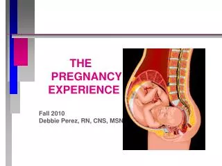 THE PREGNANCY EXPERIENCE Fall 2010 Debbie Perez, RN, CNS, MSN