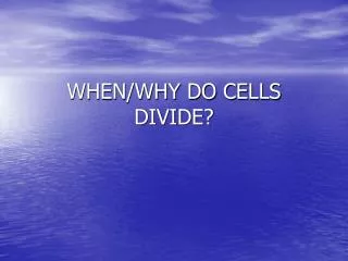 WHEN/WHY DO CELLS DIVIDE?