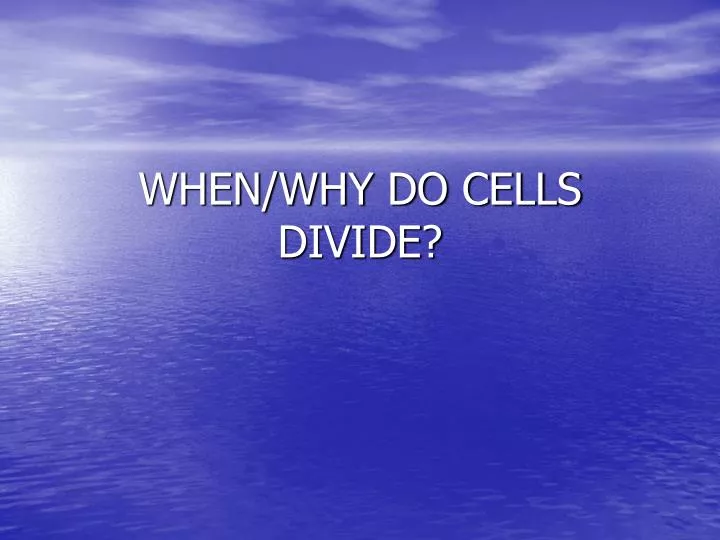 when why do cells divide
