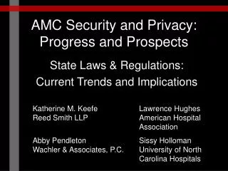 AMC Security and Privacy: Progress and Prospects