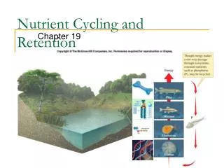 Nutrient Cycling and Retention