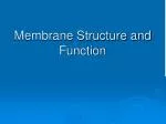 Membrane Structure and Function - slide 1