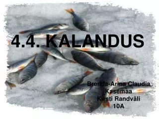 4.4. KALANDUS