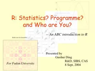 R: Statistics? Programme? and Who are You?