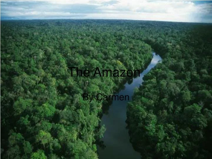 the amazon