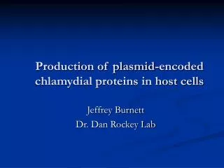 Production of plasmid-encoded chlamydial proteins in host cells