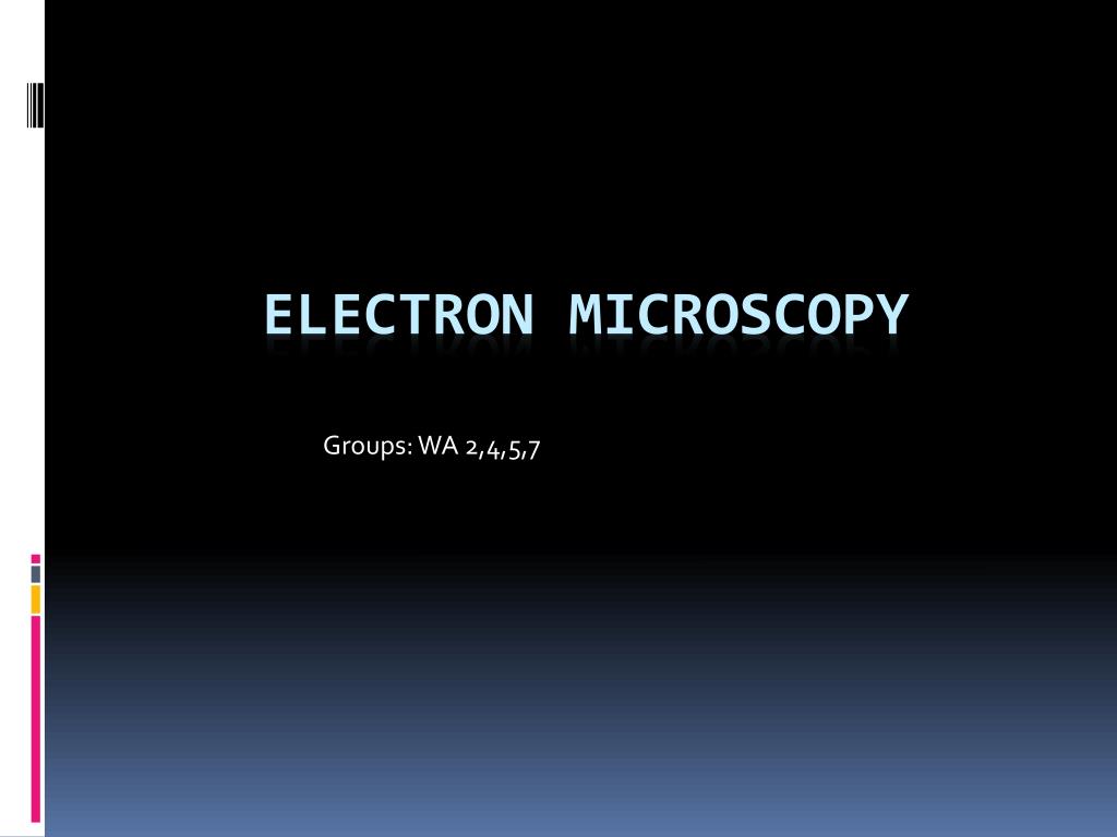 PPT - Electron Microscopy PowerPoint Presentation, free download - ID ...