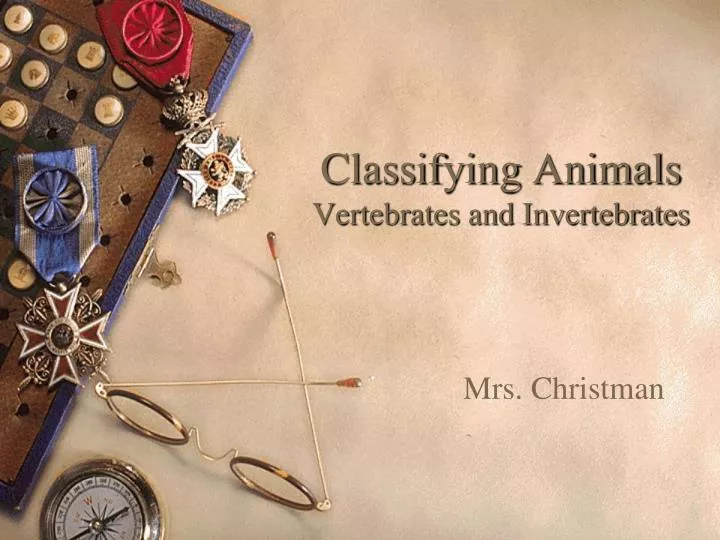 classifying animals vertebrates and invertebrates
