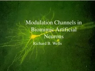 Modulation Channels in Biomimic Artificial Neurons