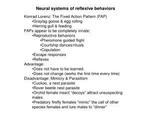 Neural systems of reflexive behaviors