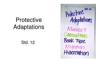 Protective Adaptations
