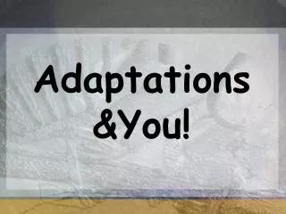 Adaptations &amp;You!