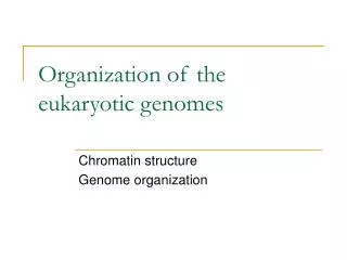 organization of the eukaryotic genomes