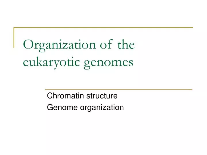 organization of the eukaryotic genomes
