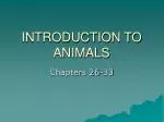 INTRODUCTION TO ANIMALS - slide 1