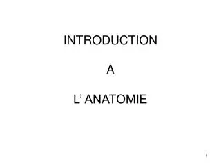 introduction a l anatomie