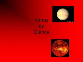 Venus by Quince