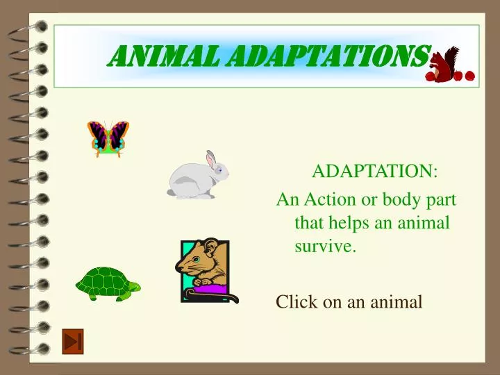 animal adaptations