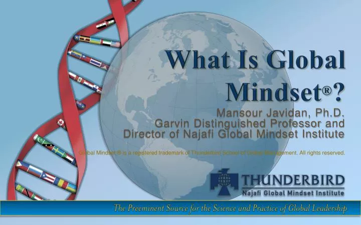 what is global mindset