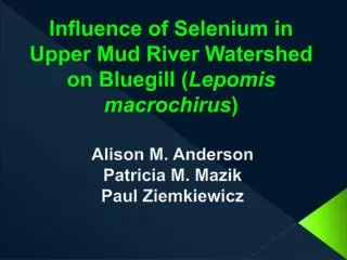 Influence of Selenium in Upper Mud River Watershed on Bluegill ( Lepomis macrochirus )