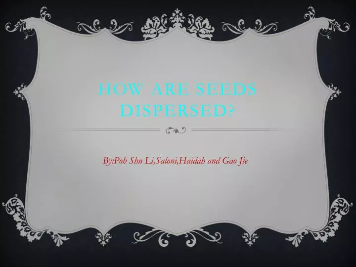 how are seeds dispersed