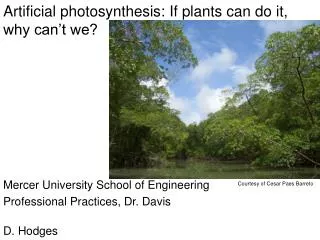 Artificial photosynthesis: If plants can do it, why can’t we?