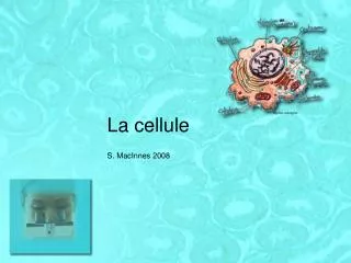 la cellule