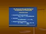 Carbonate Grains - slide 1