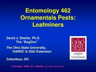 Entomology 462 Ornamentals Pests: Leafminers