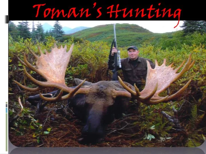 toman s hunting