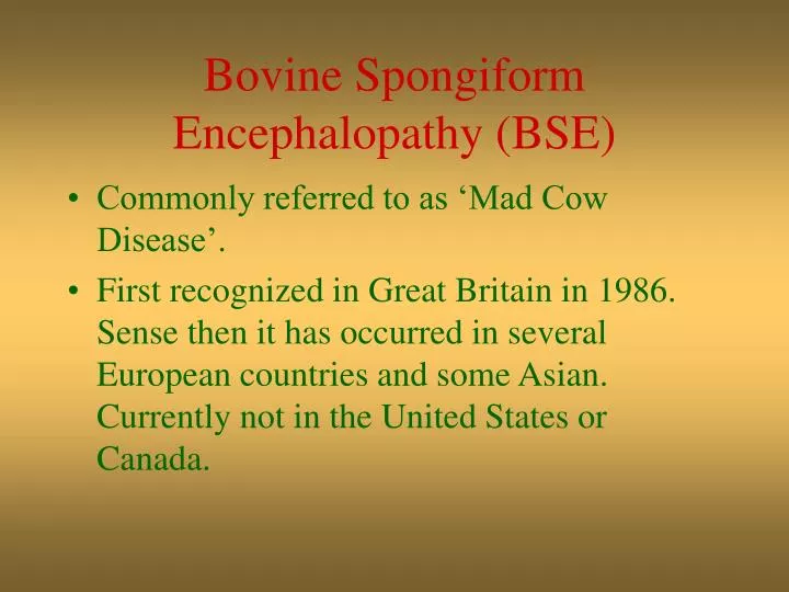 bovine spongiform encephalopathy bse