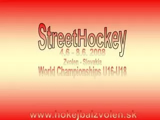 StreetHockey