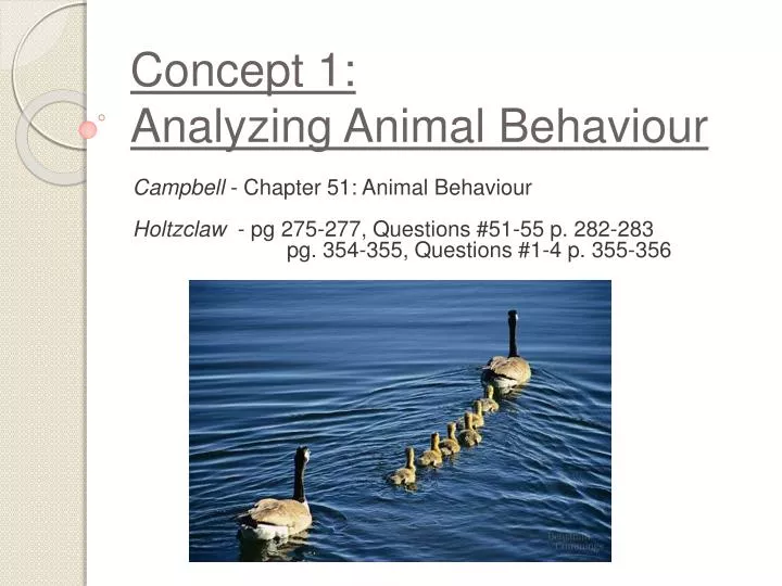 concept 1 analyzing animal behaviour