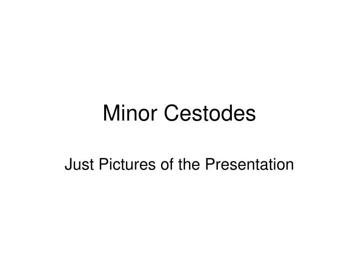 minor cestodes