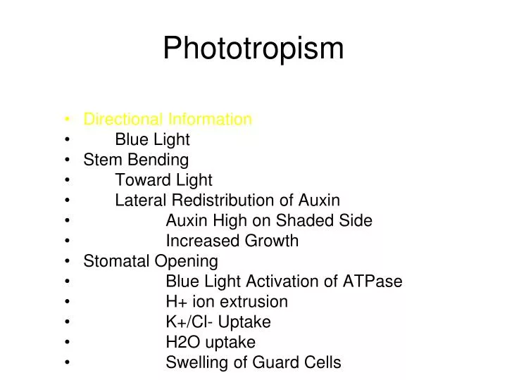 phototropism