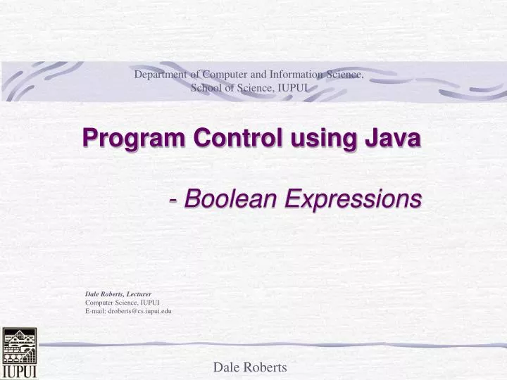 program control using java boolean expressions