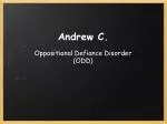Andrew C. - slide 1