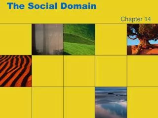 The Social Domain